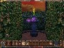 Flaming Sword in Hedgemaze